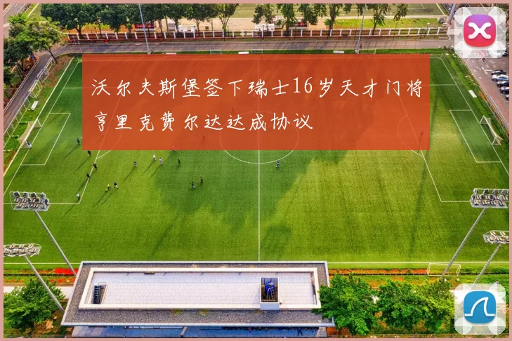 沃尔夫斯堡签下瑞士16岁天才门将亨里克费尔达达成协议